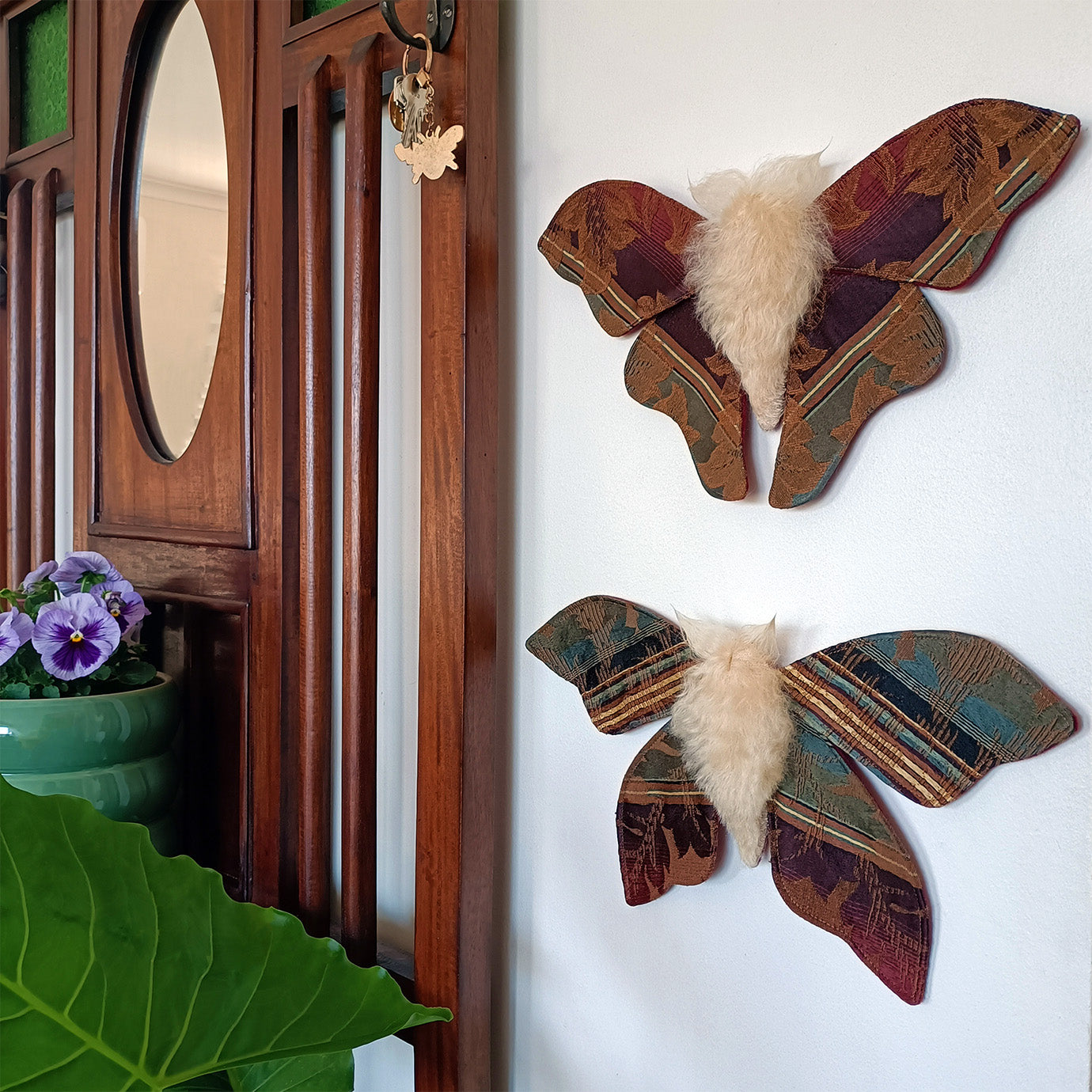 Mulled Wine Moth