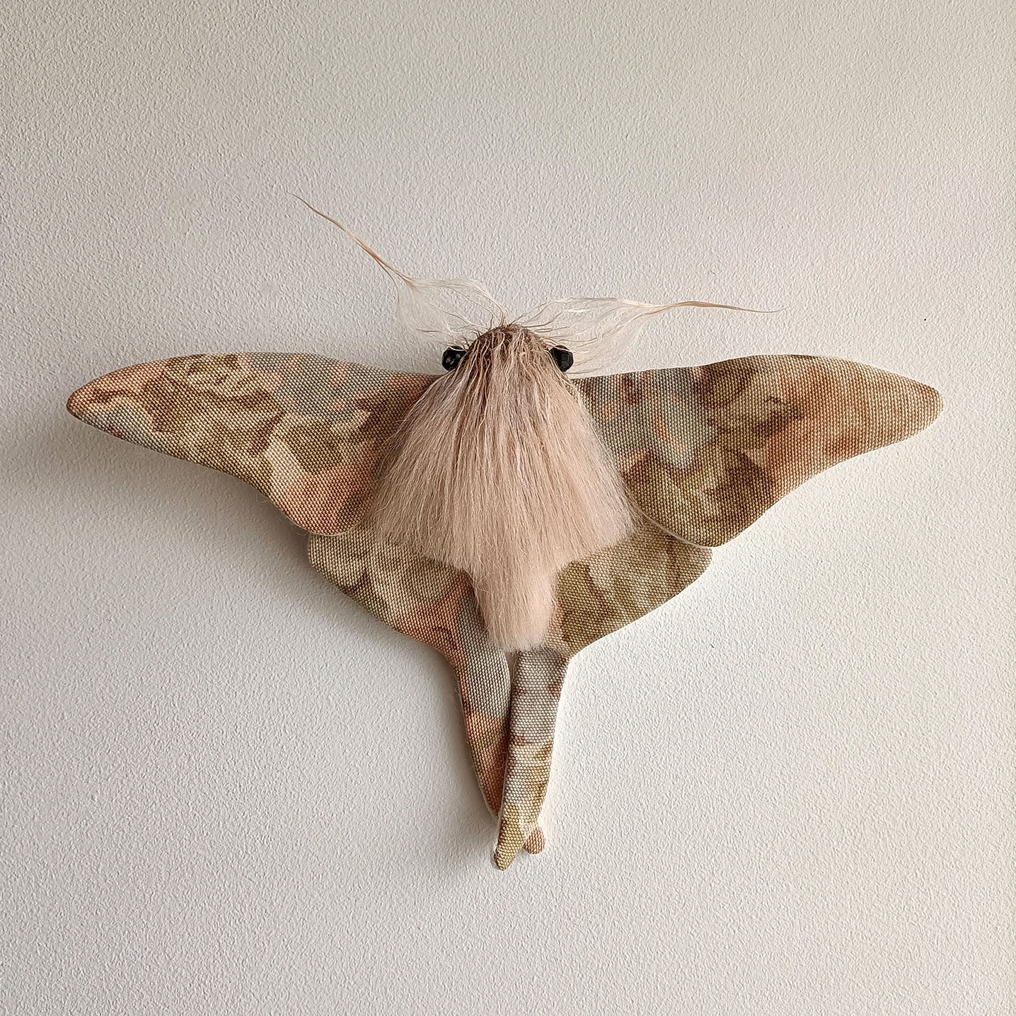 Pastel Moth - 26cm/10in