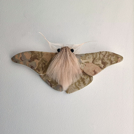 Pastel Moth - 26cm/10in