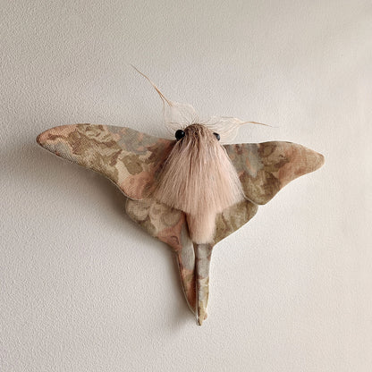 Pastel Moth - 26cm/10in