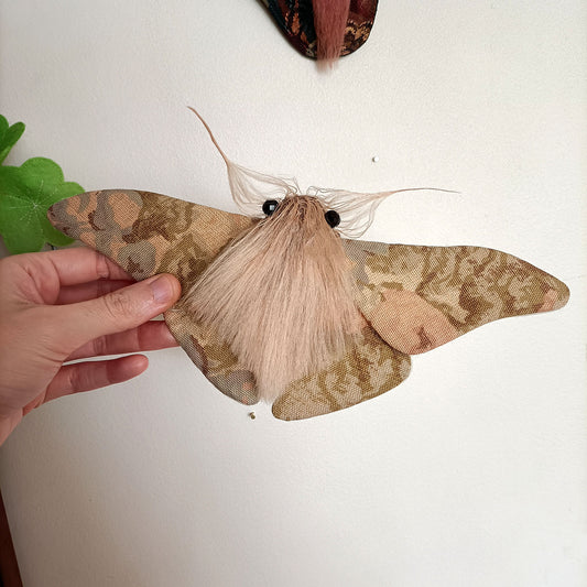 Pastel Moth - 26cm/10in