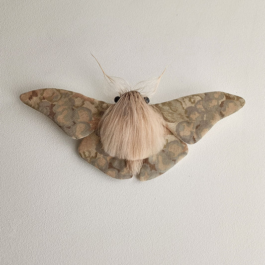 Pastel Moth - 26cm/10in