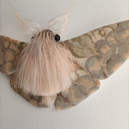 Pastel Moth - 26cm/10in