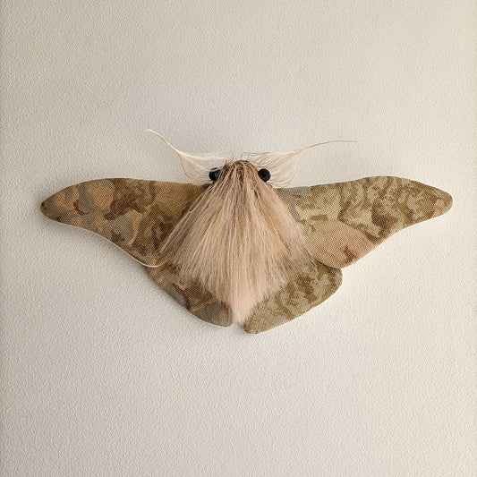 Pastel Moth - 26cm/10in