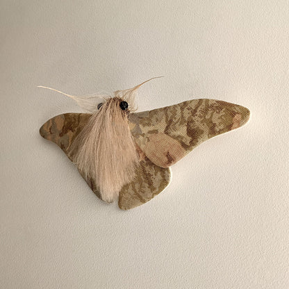 Pastel Moth - 26cm/10in