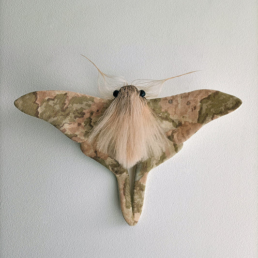 Pastel Moth - 26cm/10in