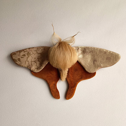 Jaqueline Moth decoration - 33cm/13in
