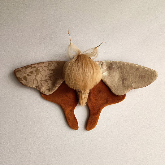 Jaqueline Moth decoration - 33cm/13in