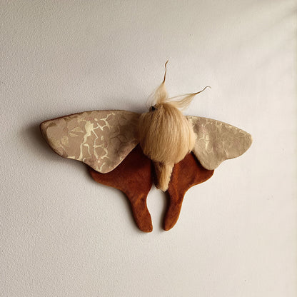 Jaqueline Moth decoration - 33cm/13in