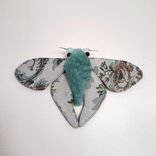 Winter Garden Moth - 28cm/11in