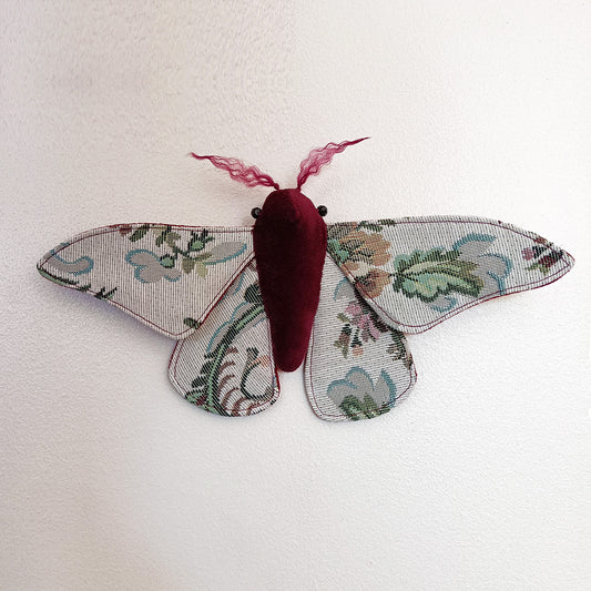Winter Garden Moth - 26cm / 10in