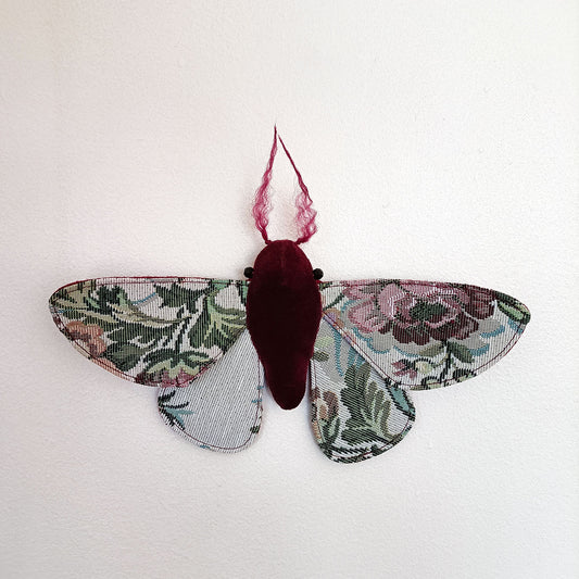 Winter Garden Moth - 26cm/10in