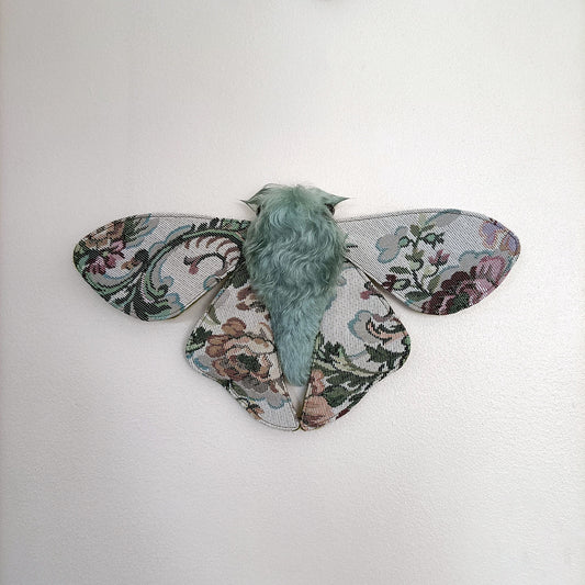 Winter Garden Moth - 30cm/12in