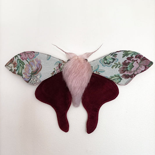 Winter Garden Moth - 36cm/14in