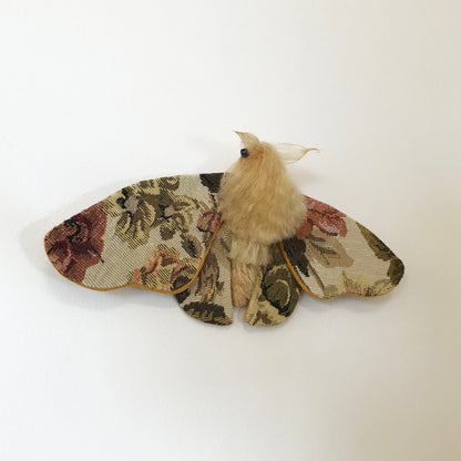 Tapestry Moth