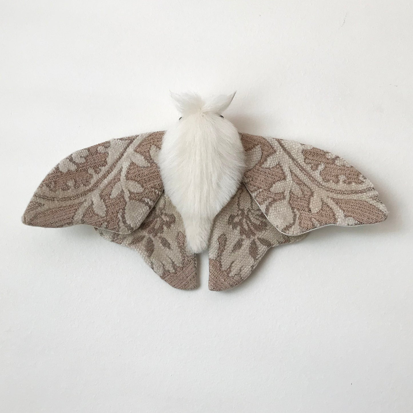 Practice Moth