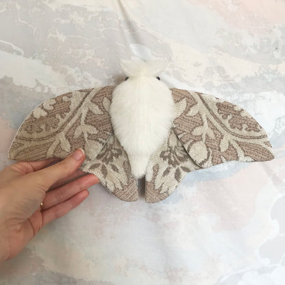 Practice Moth